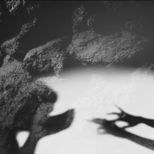 The Murmur