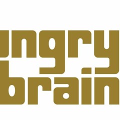 Live @ The Hungry Brain, Chicago, IL 2 - 19 - 2013 (set 2)