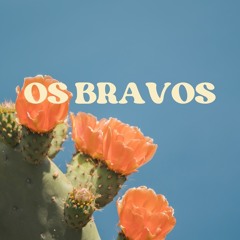 Tsunamiz - Os Bravos (2024) (single)