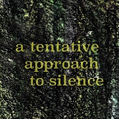 A Tentative Approach To Silence [disquiet0451]
