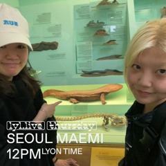 Seoul Maemi - Episode 13 (20/04/2023) on LYL Radio