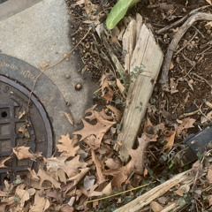 (Be my Little Rockstar) demo.002