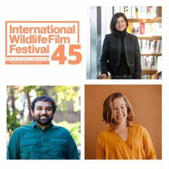 The International Wildlife Film Festival is here!