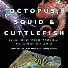 View KINDLE 📄 Octopus, Squid, and Cuttlefish: A Visual, Scientific Guide to the Ocea