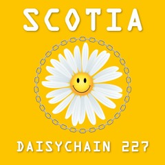 Daisychain 227 - Scotia