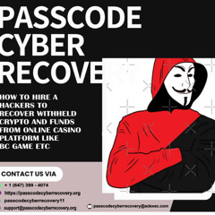 PASSCODE CYBER RECOVERY HELPED ME RECOVER MY WITHELD BTC FROM BC GAME