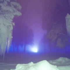 dlmg slowed & reverb