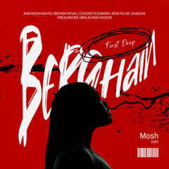 Berghain (Mosh Schranz Bootleg)