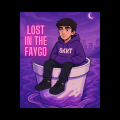 LOST IN THE FAYGO