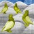 Artwork for Mix 96 - pigeons shitting oxide