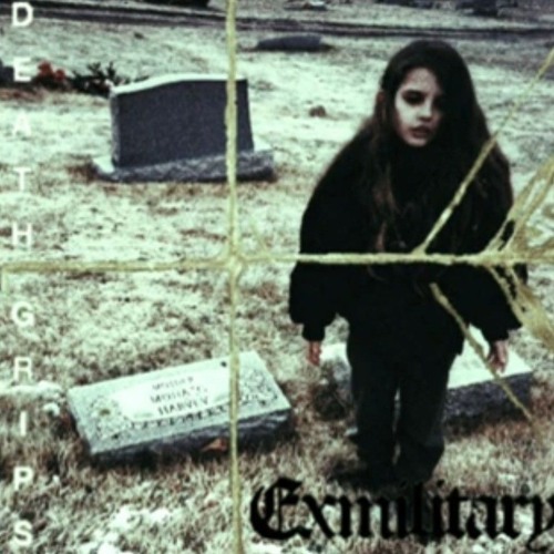 year of the beware (crystal castles x death grips) mashup