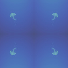 Abyssal Bass Echoes #293