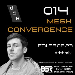 DSH - 014 MESH CONVERGENCE