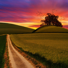 DJ Geri - Trance Journey (15.03.2026)