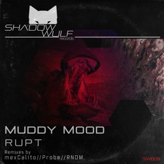 Premiere: Rupt "Muddy Mood" (Mex Calito Remix) - Shadow Wulf Records