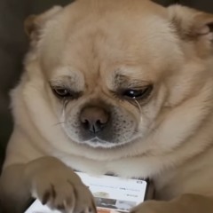 Escape(prod. by $Malik Montana)