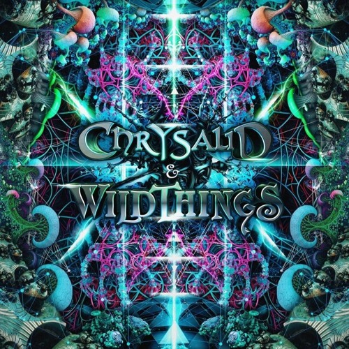 Ink Project - Chrysalid & Wild Things Festival 2023 - Psychedelic Dub DJ Mix