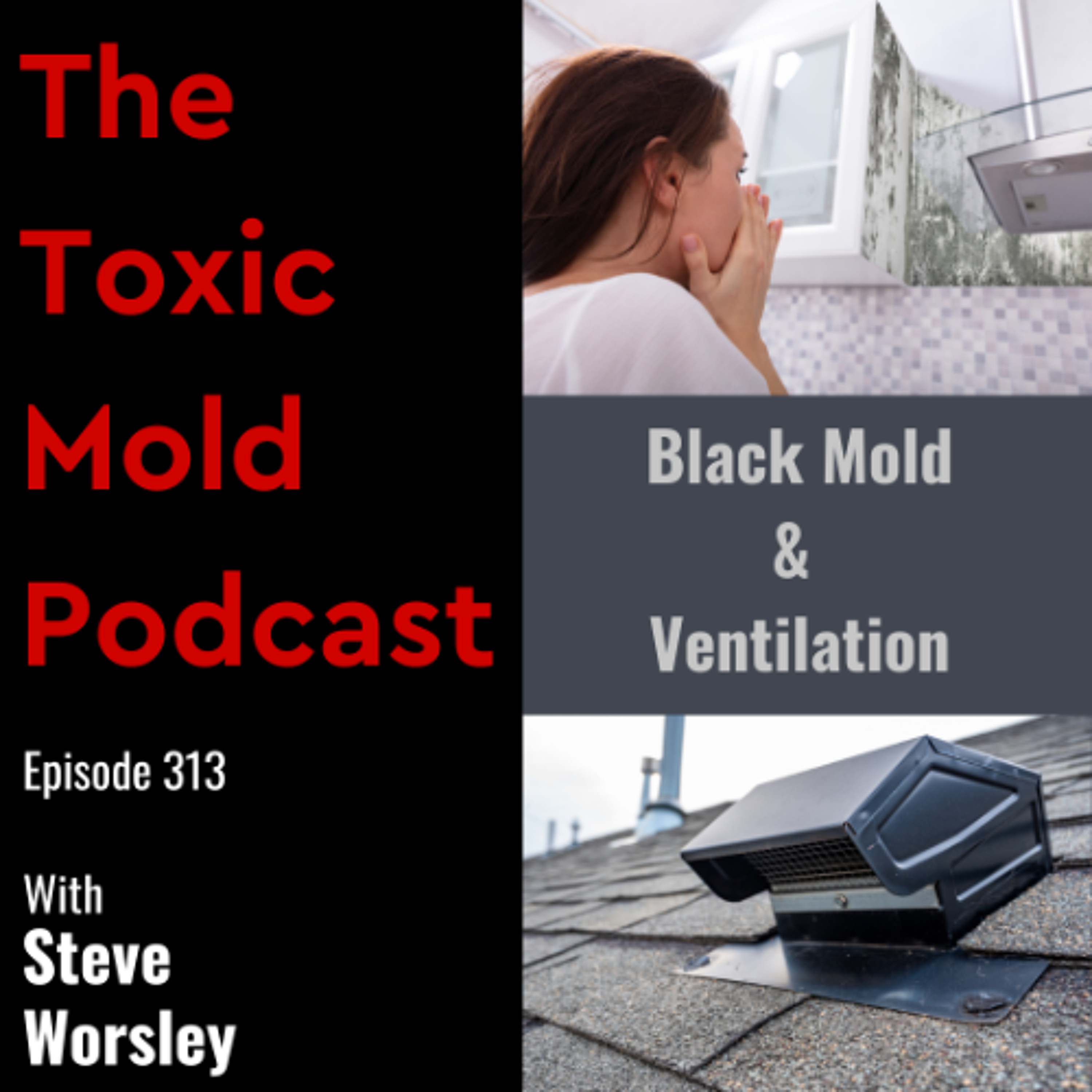 EP 313: Black Mold & Ventilation