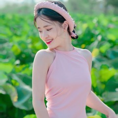 nhạc chill chó