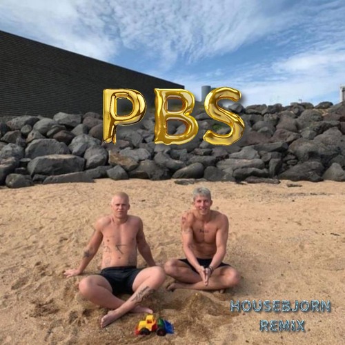 PBS - Birnir & Lil Binni (Housebjorn Remix)