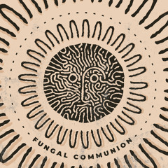 AF Premiere: C:NXR - Cave of Divinity [Psylocybina][OUT!!27.08.25]