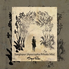 Sigur Ros - Saeglopur (Apocrypha Private Mix) Clip