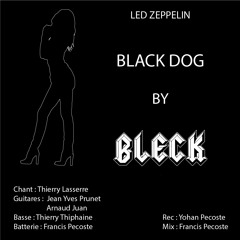 Black Dog
