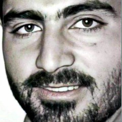 طائر النمنمة .mp3
