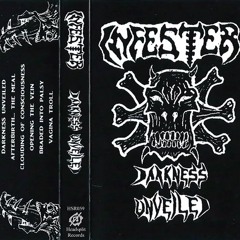 Infester - Darkness Unveiled