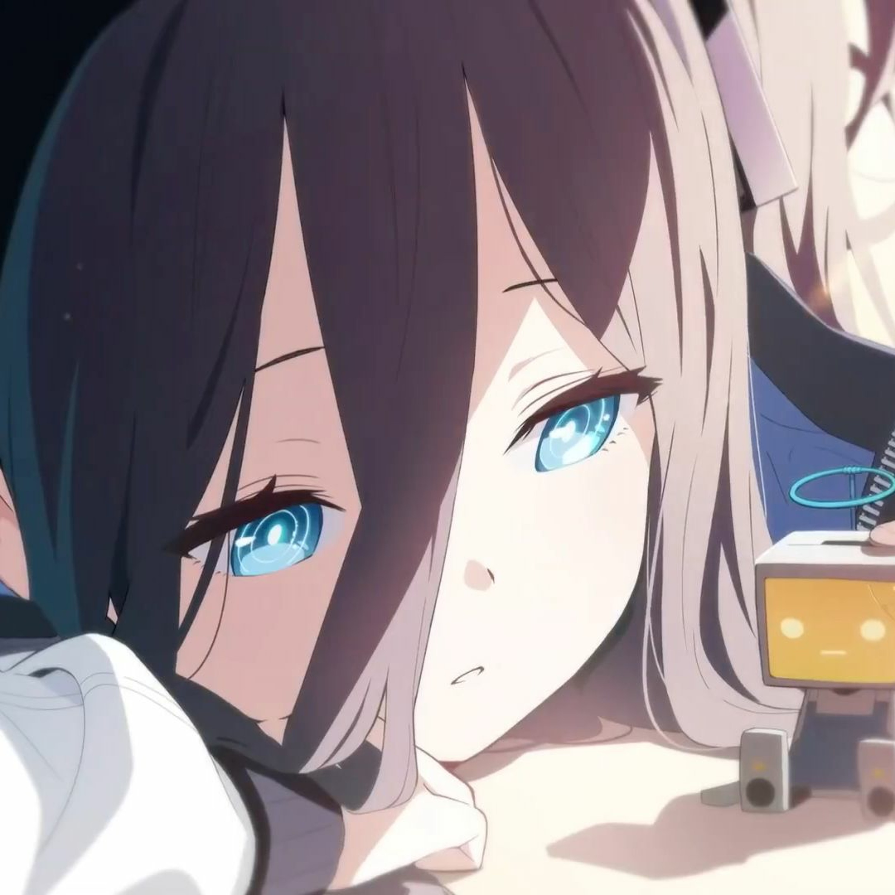 ヒナシス(hynaxis)
