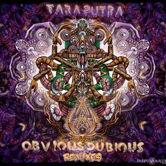 Tara Putra - Obvious Dubious (Taktyle Remix)