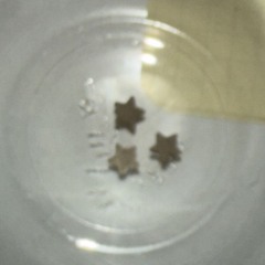 3XL w/ Special Guest DJ 050126