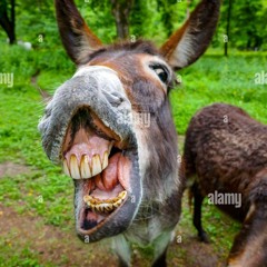 operación dental #trollgang #altf4