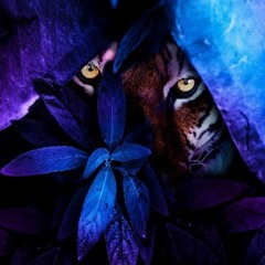 A 2020 Rave | Drum and Bass Mix
