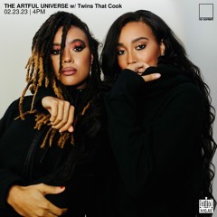 TAU017 Twins That Cook - The Artful Universe on n10.as