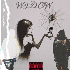 WIDOW lxl_mxnixc X greycloudkxng
