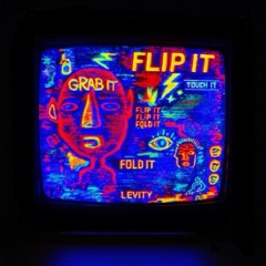 Levity - Flip It (Dumbbell Disco Remix)
