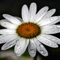 time to get hot and a bit crunchy