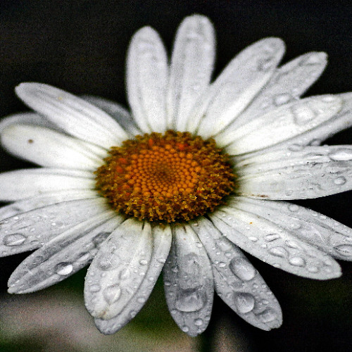 time to get hot and a bit crunchy