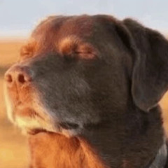 você merece. (releitura ljaypunkrock)