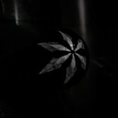 lighthunter
