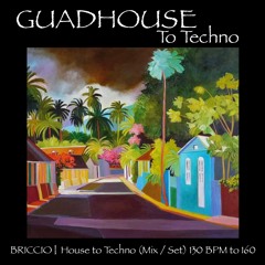 Briccio Dzuccio | Guadhouse To Techno (45'' Set/Mix)