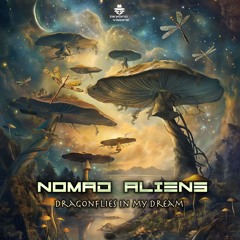 Nomad Aliens - Subliminal (Beyond Visions Rec.) OUT NOW!