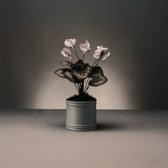 glass delusion