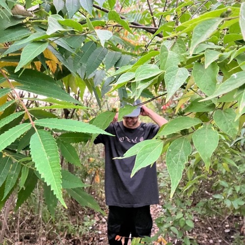 ARCMIX027 - DJ Calathea