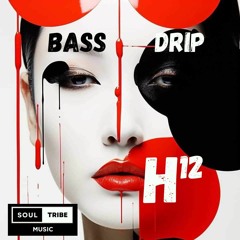 H12 - Bass Drip (Soultribe Music)