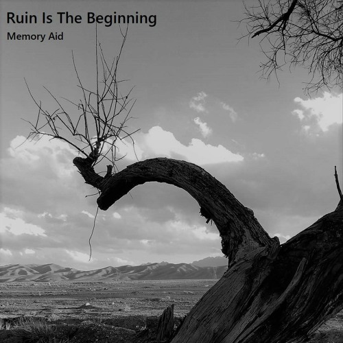 Memory Aid _ Ruin Is The Beginning