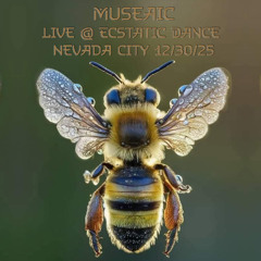 MUSEAIC live @ Nevada City Ecstatic Dance 12/30/25