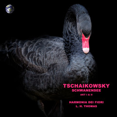 Schwanensee, Act I, Pas de trois : IV. Moderato