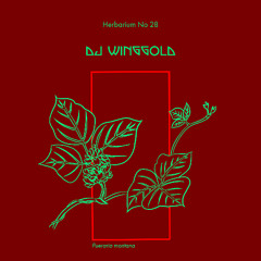 Herbarium No 28 - DJ Winggold - Pueraria Montana